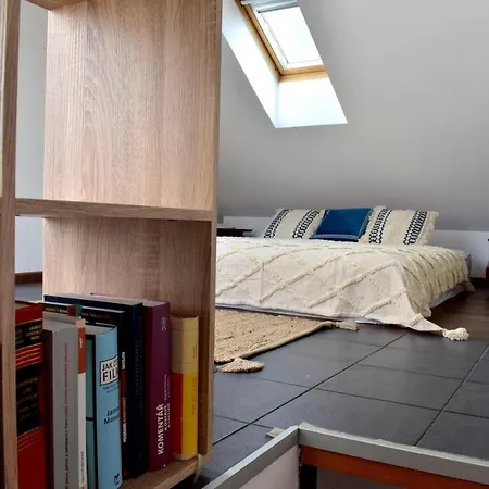 Lux Duplex Rooftop Loft With An Amazing Terrace & Cinema * Praag