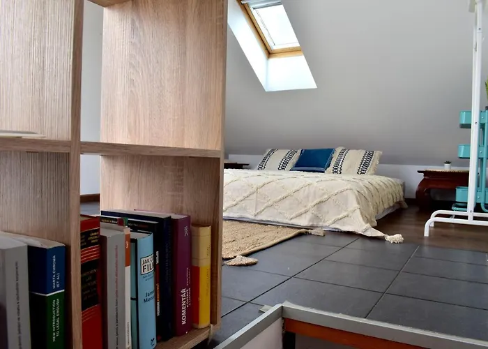 Lux Duplex Rooftop Loft With An Amazing Terrace & Cinema * Praha