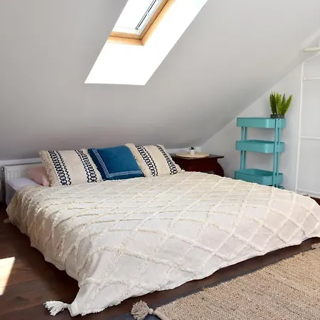 Appartement Lux Duplex Rooftop Loft With An Amazing Terrace & Cinema Praag