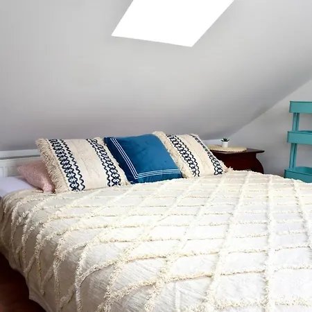 Lux Duplex Rooftop Loft With An Amazing Terrace & Cinema Daire
